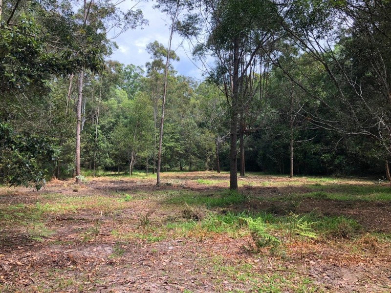 785 Ringtail Creek Road, Pomona QLD 4568