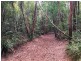 785 Ringtail Creek Road, Pomona QLD 4568