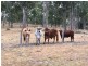 52 BELLWOOD ROAD, Tuchekoi QLD 4570