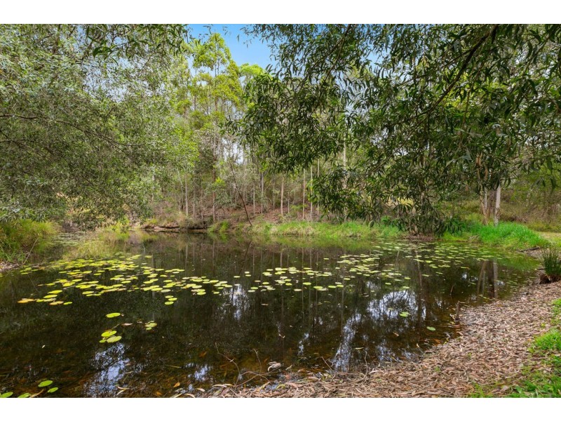 260 Coles Creek Road, Cooran QLD 4569