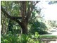 12 Pine Street, Pomona QLD 4568