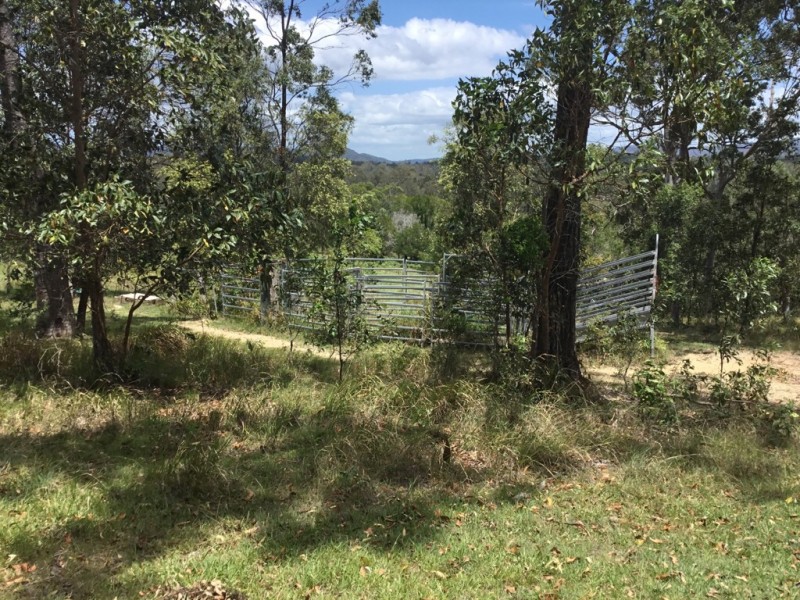 115 Newspaper Hill Road, Belli Park QLD 4562