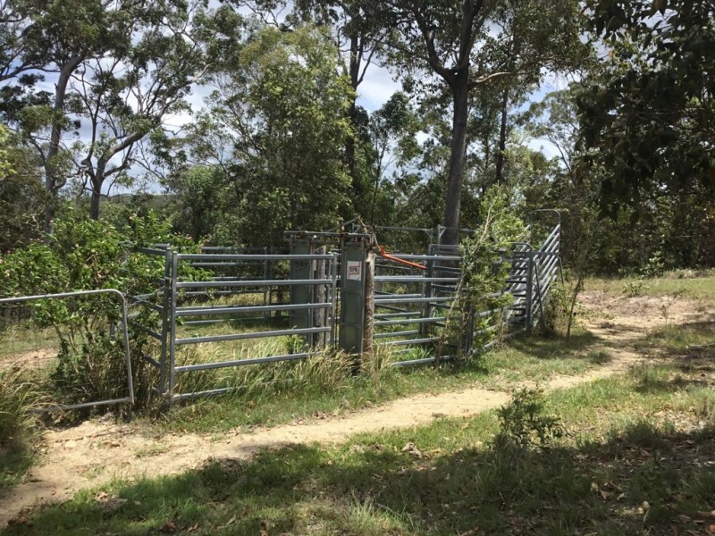 115 Newspaper Hill Road, Belli Park QLD 4562
