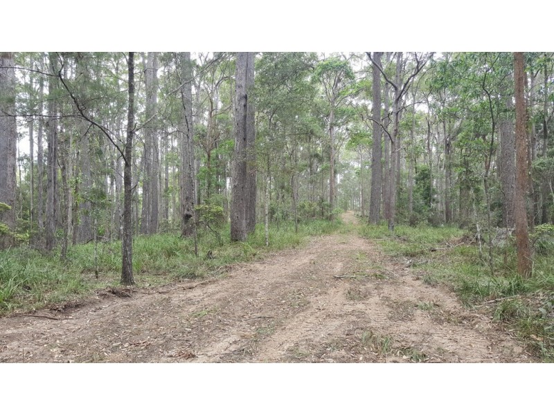 327 Kinmond Creek Road, Cootharaba QLD 4565