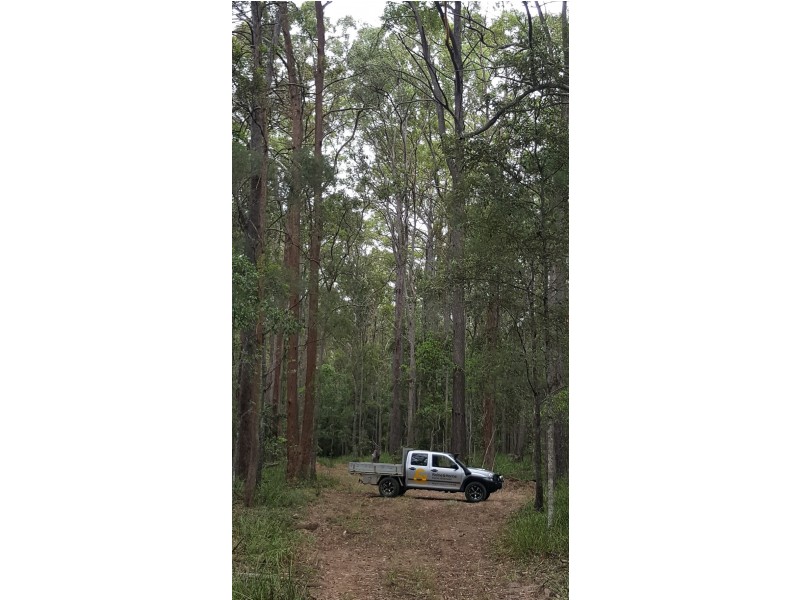 327 Kinmond Creek Road, Cootharaba QLD 4565