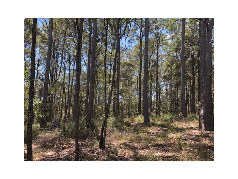 327 Kinmond Creek Road, Cootharaba QLD 4565