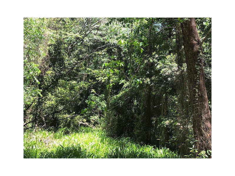 327 Kinmond Creek Road, Cootharaba QLD 4565