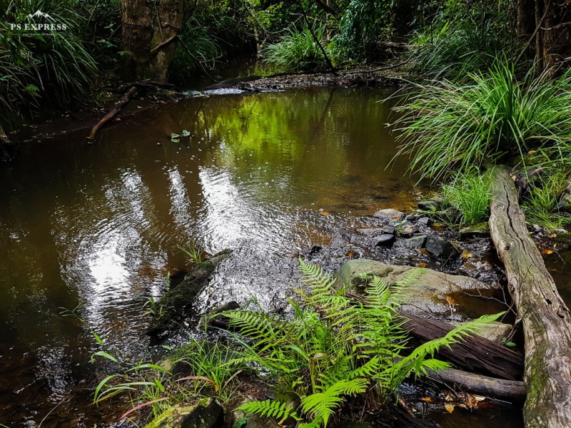 248 Schreibers Road, Cooran QLD 4569