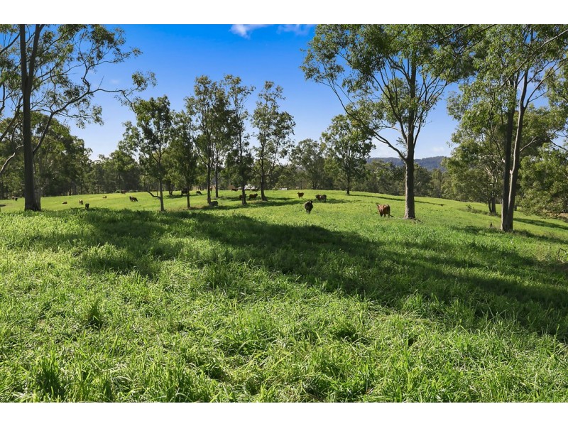 1692 Kenilworth Skyring Creek Road, Tuchekoi QLD 4570
