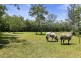 135 Pomona Kin Kin Road, Pinbarren QLD 4568