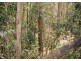 Cooran QLD 4569