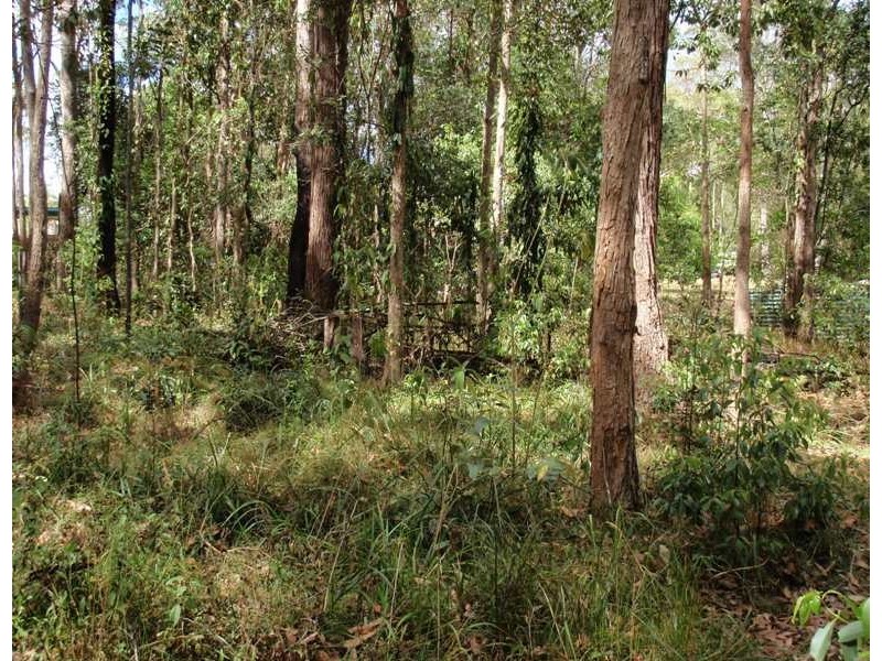 Cooran QLD 4569