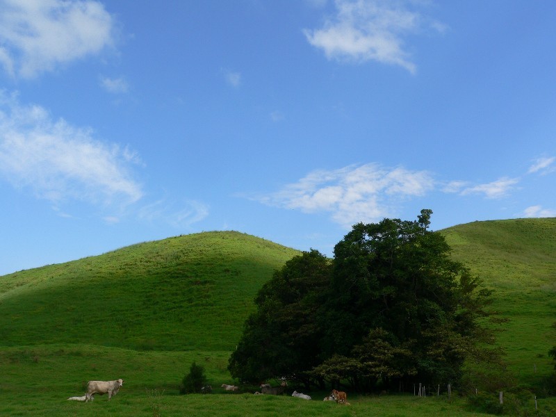 405 Upper Pinbarren Creek Road, Pomona QLD 4568