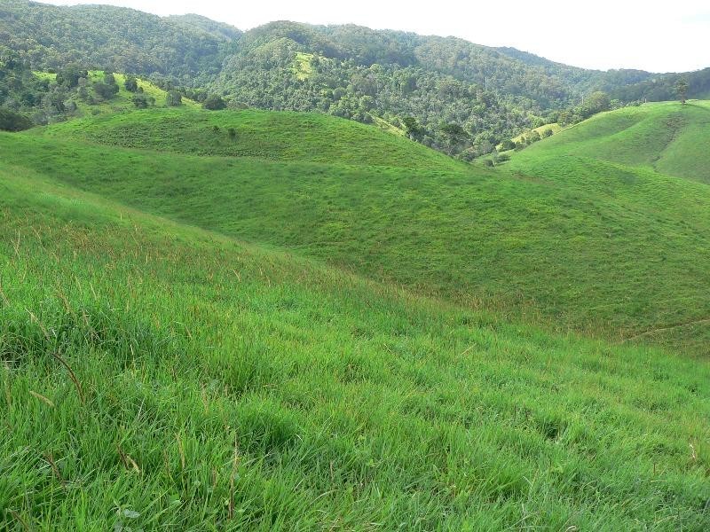 405 Upper Pinbarren Creek Road, Pomona QLD 4568