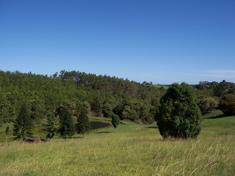 40 Binalong Road, Pinbarren QLD 4568