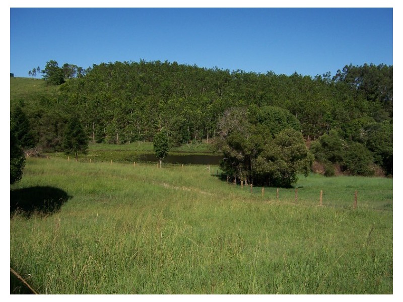 40 Binalong Road, Pinbarren QLD 4568