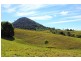 40 Binalong Road, Pinbarren QLD 4568