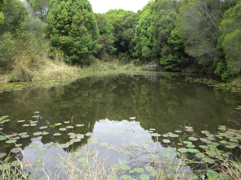 253 Uhlmanns Road, Pomona QLD 4568