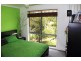 33 Waratah Close, Tewantin QLD 4565