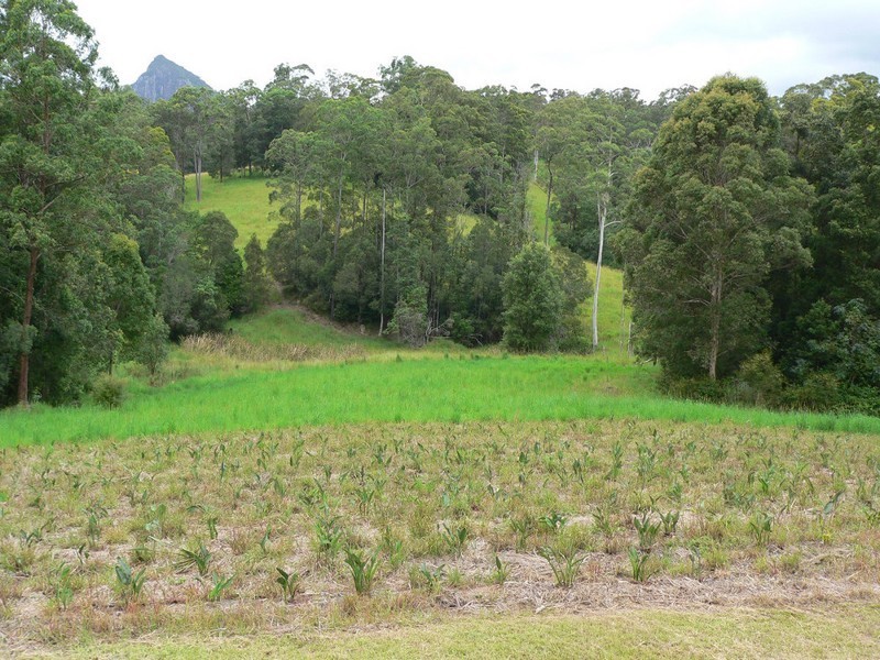 Cooran QLD 4569