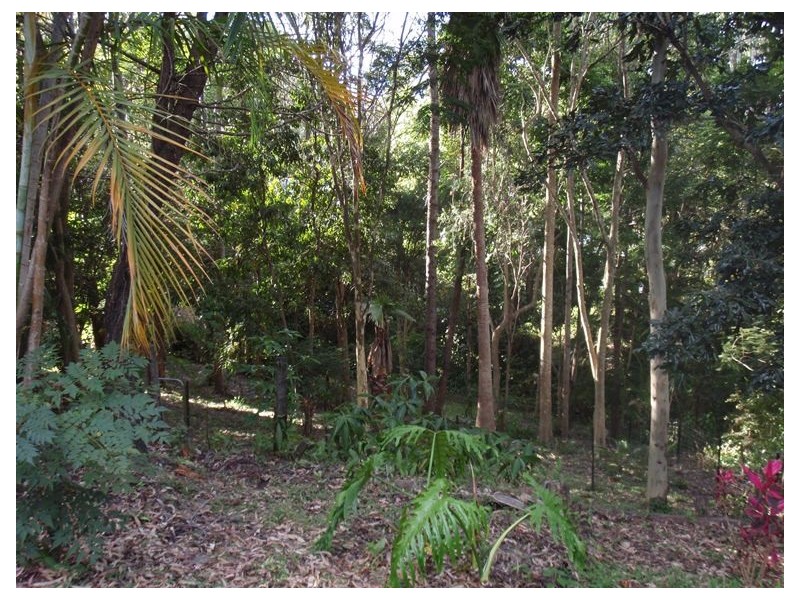 8 James Street, Cooran QLD 4569