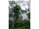 330 Cootharaba Road, Cootharaba QLD 4565