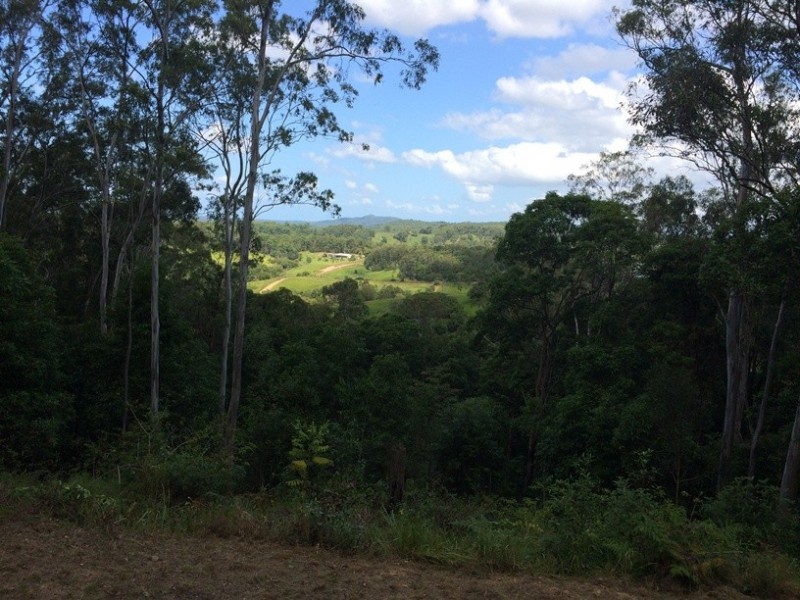 330 Cootharaba Road, Cootharaba QLD 4565
