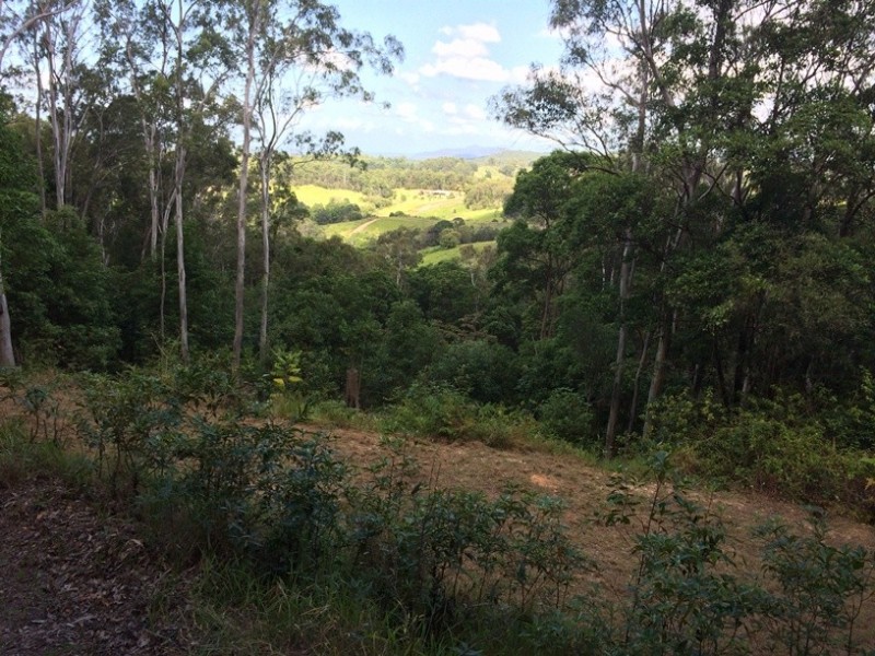 330 Cootharaba Road, Cootharaba QLD 4565