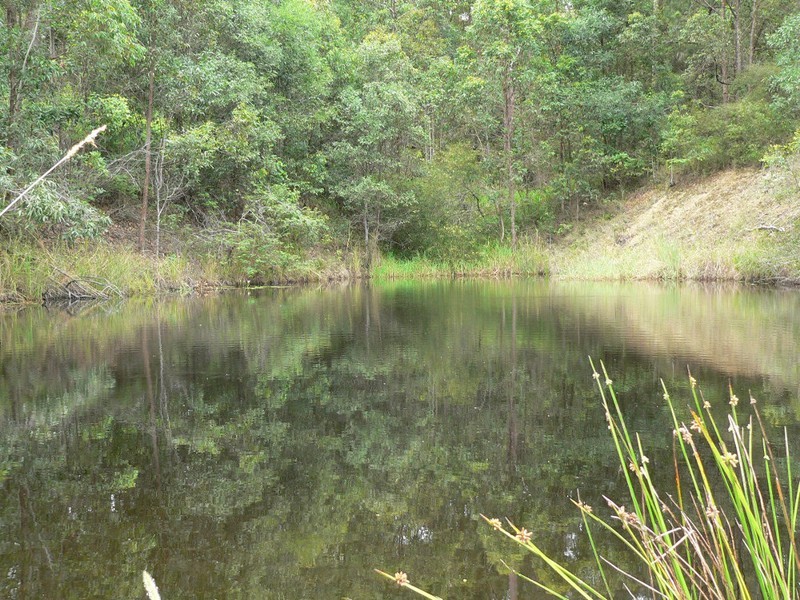 Cooran QLD 4569