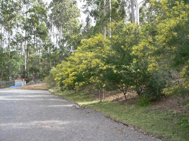 Cooran QLD 4569