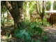 Cooran QLD 4569