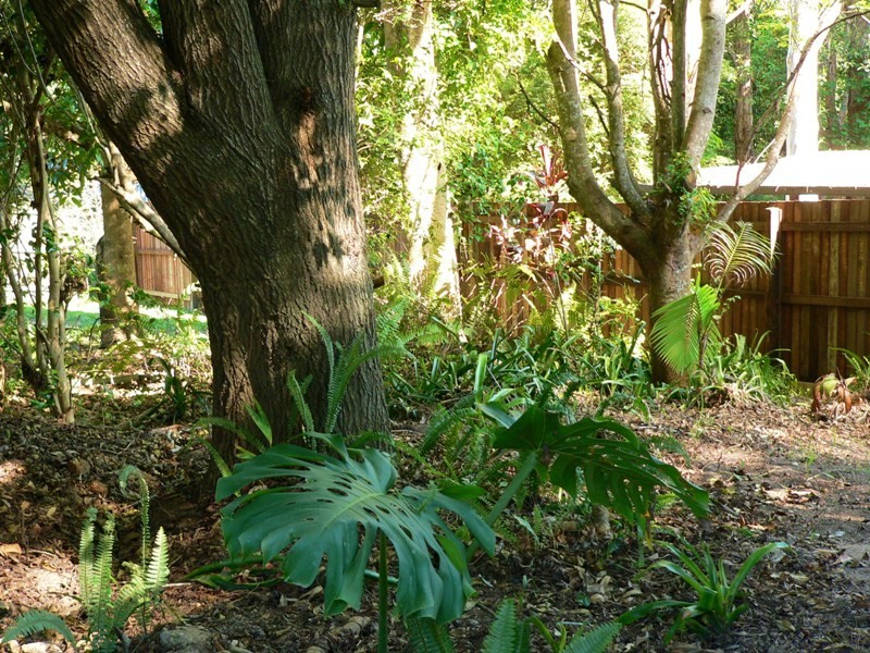 Cooran QLD 4569
