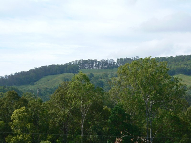 Cooran QLD 4569