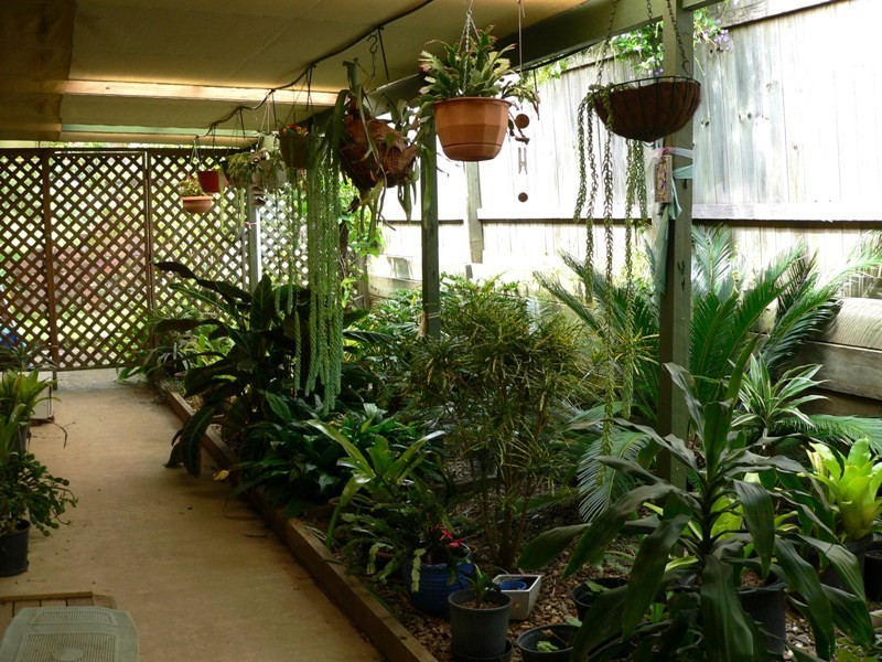 51 Overlander Avenue, Cooroy QLD 4563