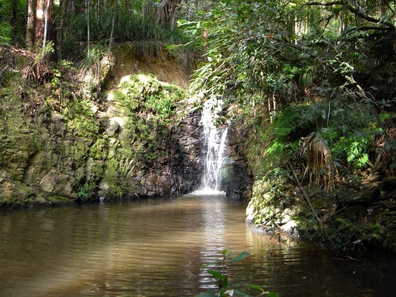 Ridgewood QLD 4563