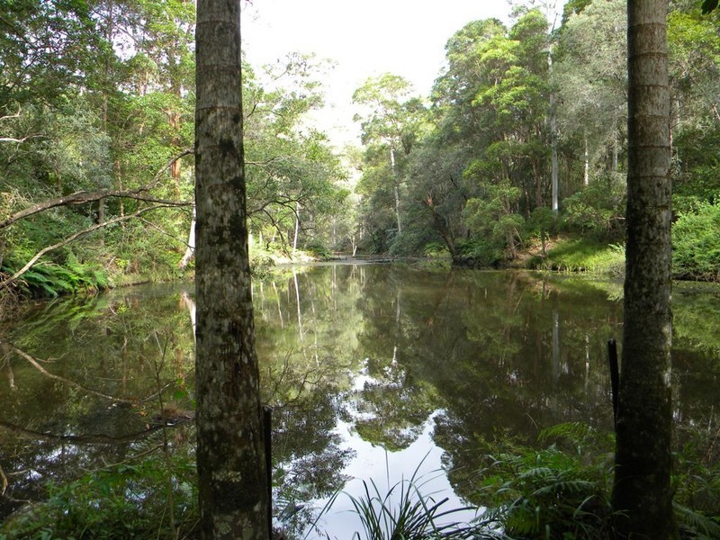 Ridgewood QLD 4563