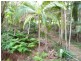 Ridgewood QLD 4563