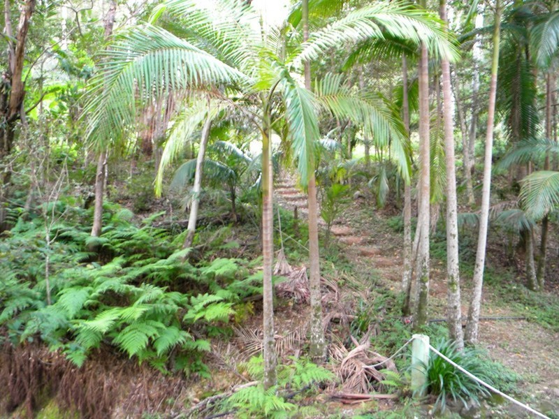 Ridgewood QLD 4563