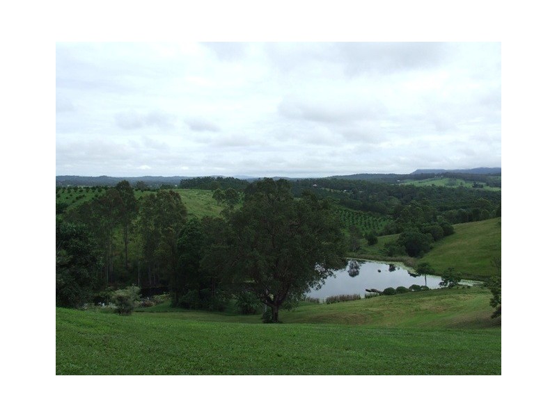 87 Driers Road, Cooran QLD 4569