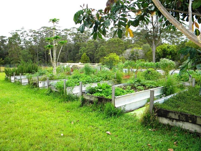 630 Louis Bazzo Drive, Pomona QLD 4568