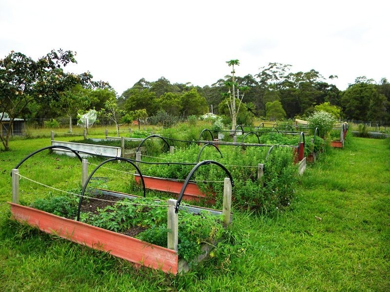 630 Louis Bazzo Drive, Pomona QLD 4568