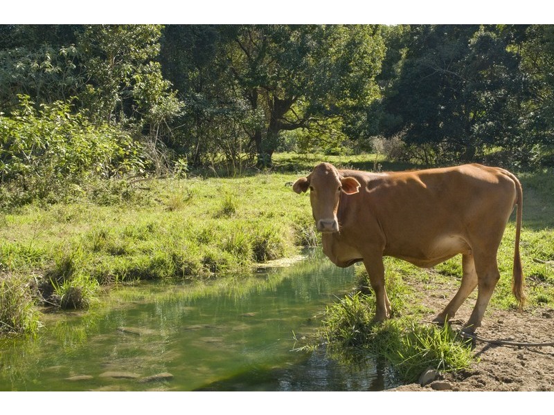 Pomona QLD 4568