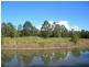Cootharaba QLD 4565