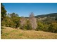 1099 Pomona Kin Kin Road, Kin Kin QLD 4571