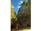 1099 Pomona Kin Kin Road, Kin Kin QLD 4571