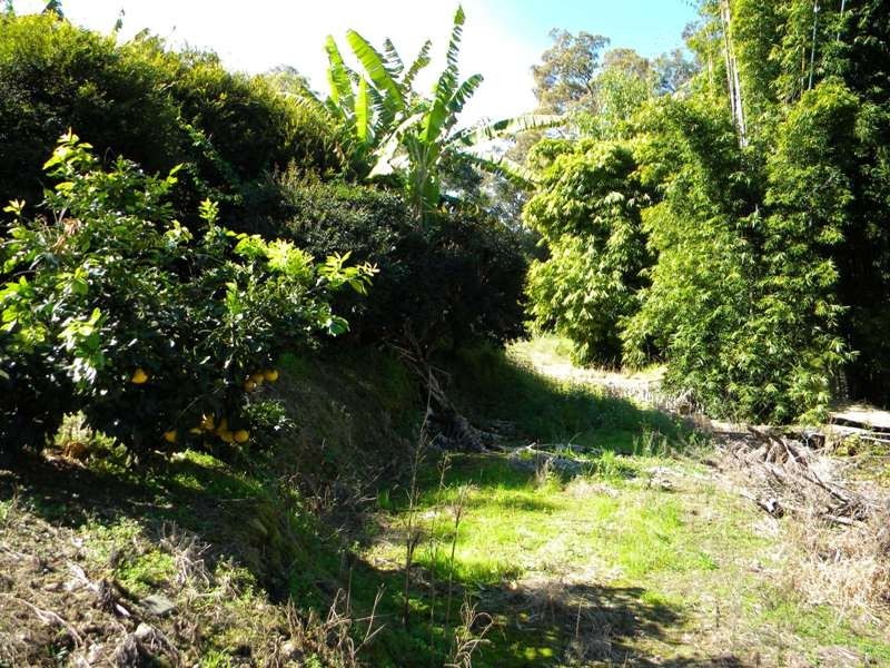 Cooran QLD 4569