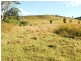 Kin Kin QLD 4571