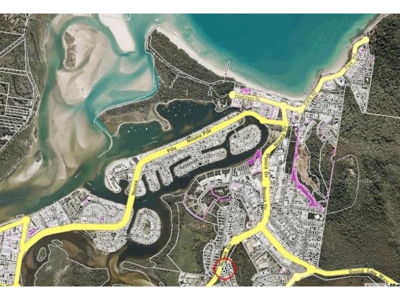 55 Allambi Terrace, Noosa Heads QLD 4567