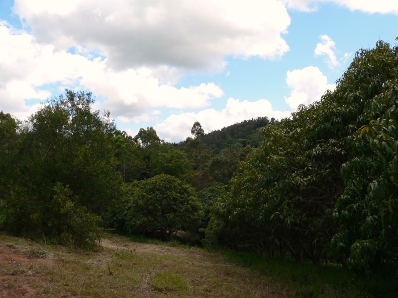Kin Kin QLD 4571
