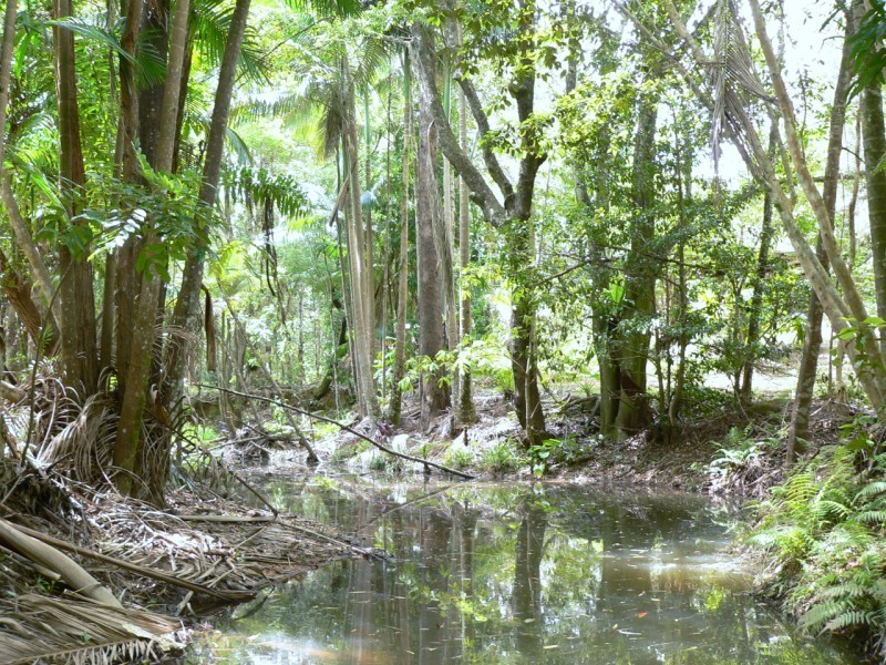 Kin Kin QLD 4571